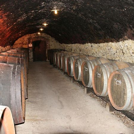 Chambres D'Hotes - Domaine Gigou La Chartre-sur-le-Loir Luaran gambar
